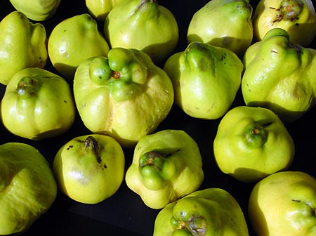 Farbe bekennen: Limette