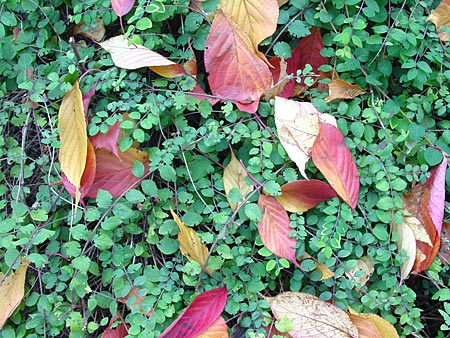 Farbe bekennen: Bunt
