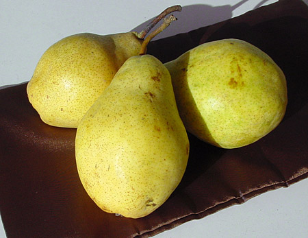 Farbe bekennen: Gelb